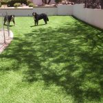 Synthetic Lawn Pet Turf Company Inland Empire, Best Artificial Pet Turf Pricing