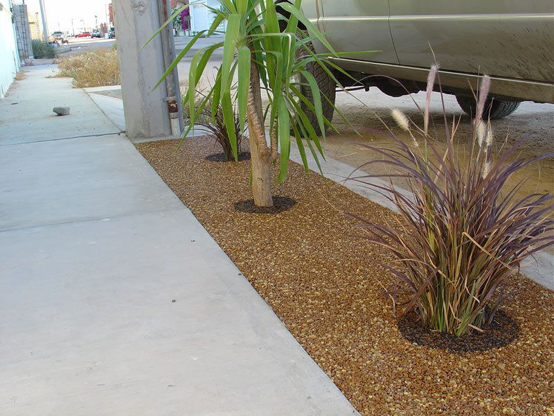 Porous Tree Well Installation Services Inland Empire, Tree Well Maintenance and Cleaning