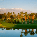 Inland Empire Artificial Turf Bermuda Dunes