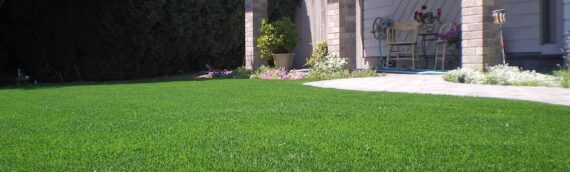 5 Tips To Install Artificial Grass In Your Backyard In Inland Empire