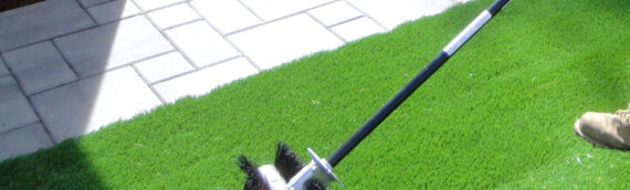 How To Clean Stubborn Pet Waste Stains From Artificial Turf In Inland Empire?