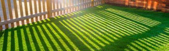 5 Easy Tips To Maintain Your Artificial Grass Lawn In Inland Empire